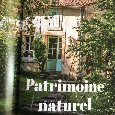 Super Coup De Coeur Niort