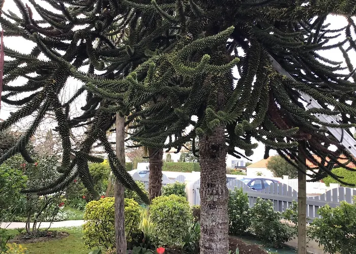 Super Coup De Coeur Niort